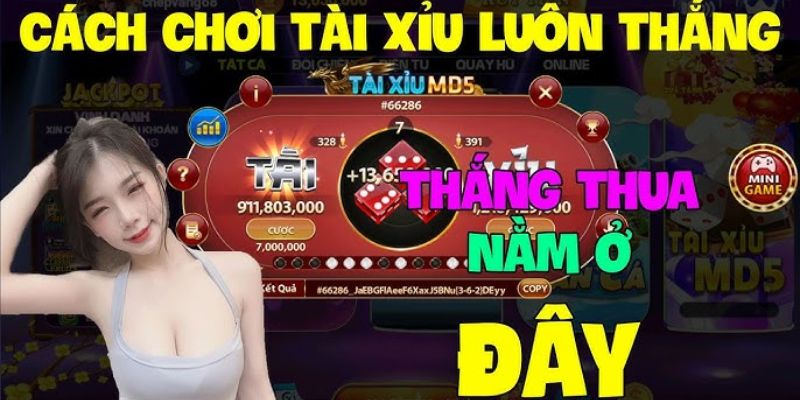 Mẹo đánh tài xỉu nâng cao từ các chuyên gia 